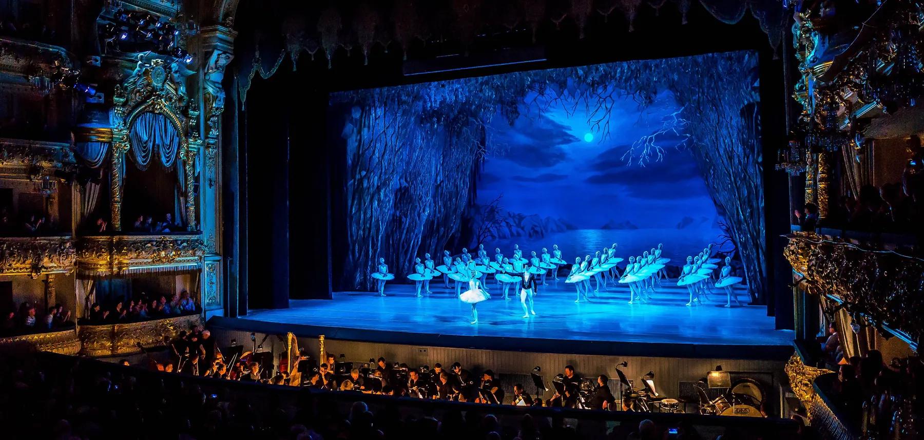 A Swan Lake lake scene at the Mariinsky Theatre in St Petersburg, seen from the auditorium, with white-clad swans on a stage lit blue under a painted moon